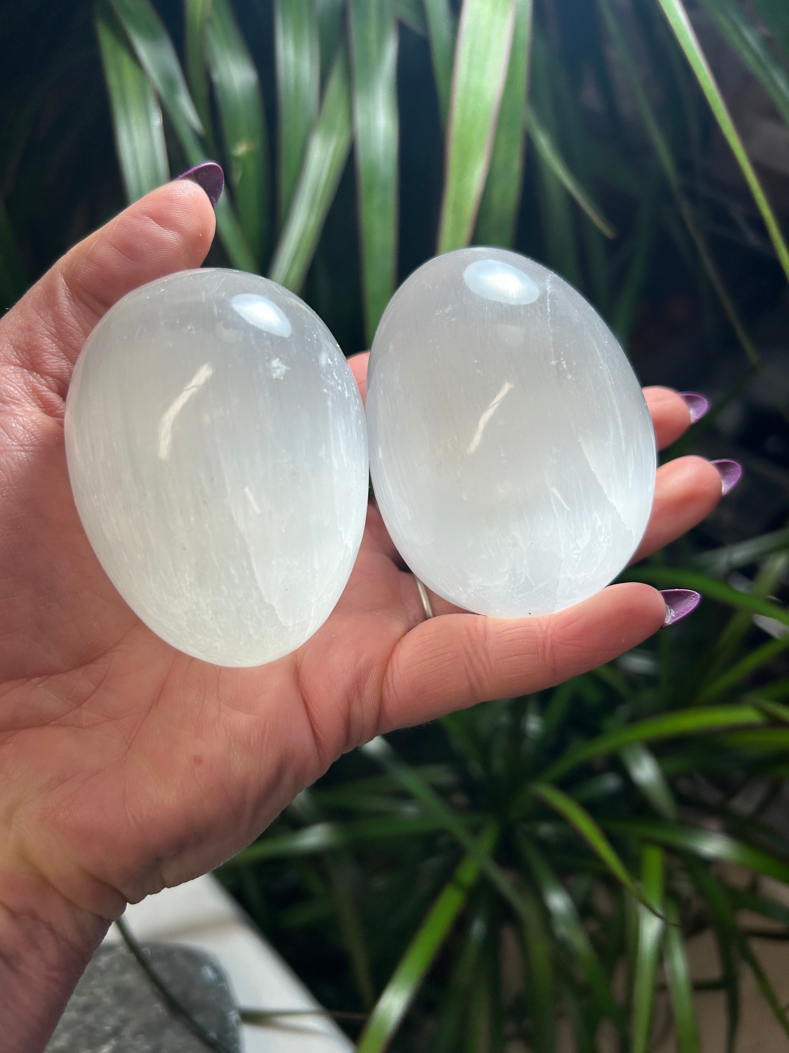 Selenite Eggs Mountain Mineral Market